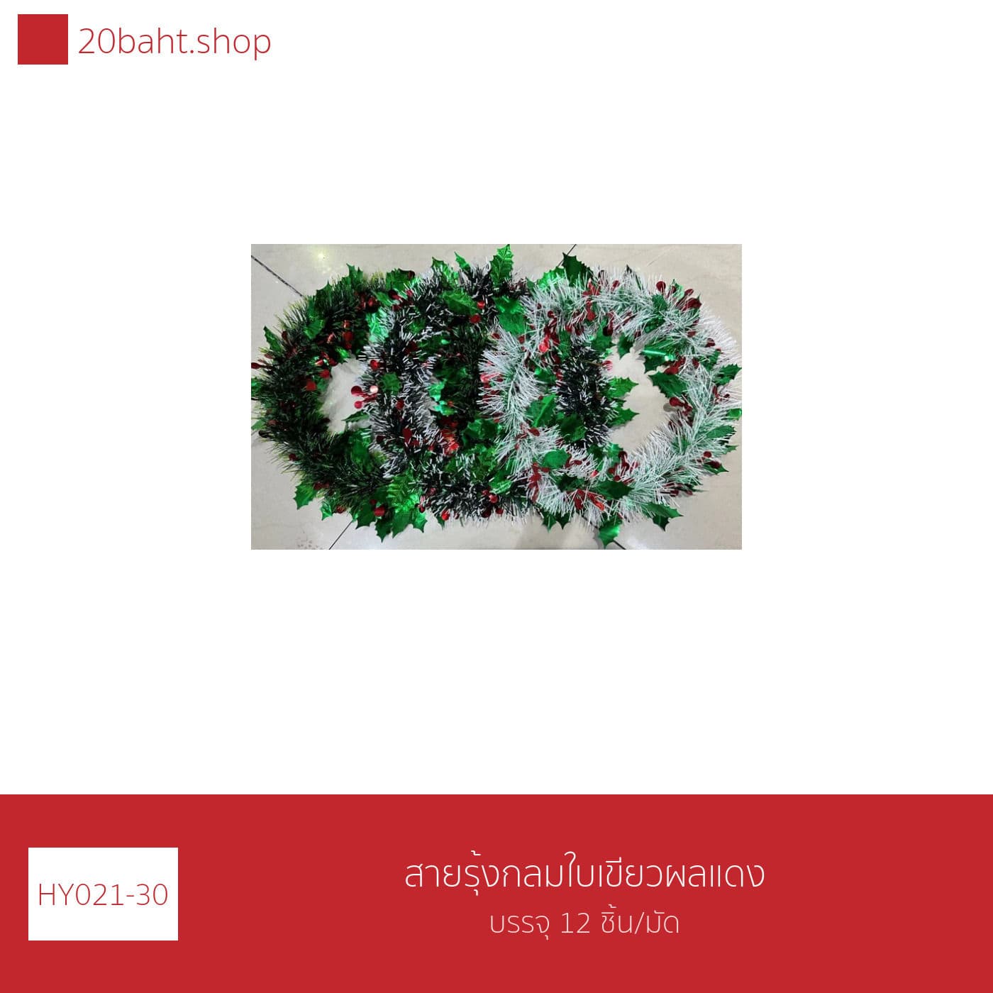 สายรุ้งกลมใบเขียวผลแดง